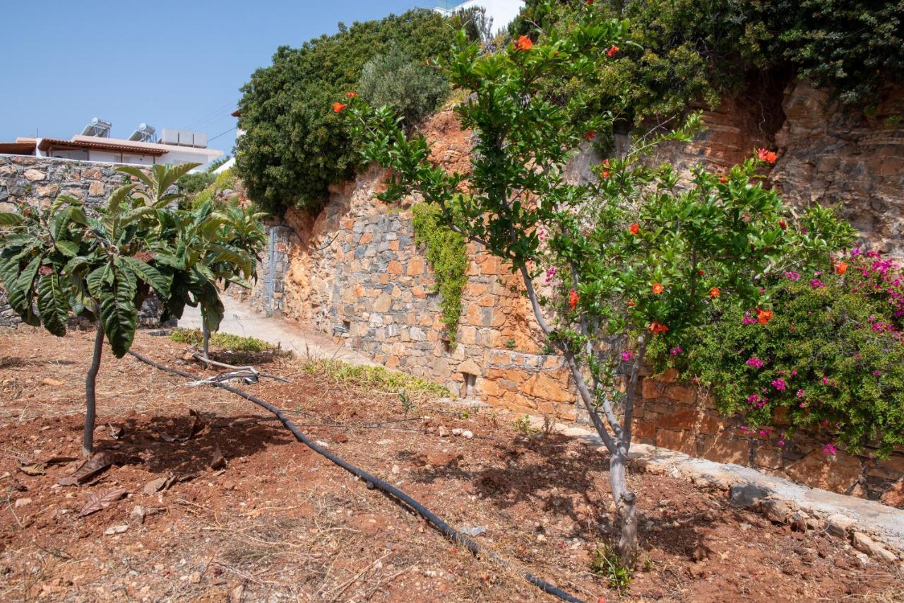 Miracle View Villas Ajos Nikolaos Zewnętrze zdjęcie