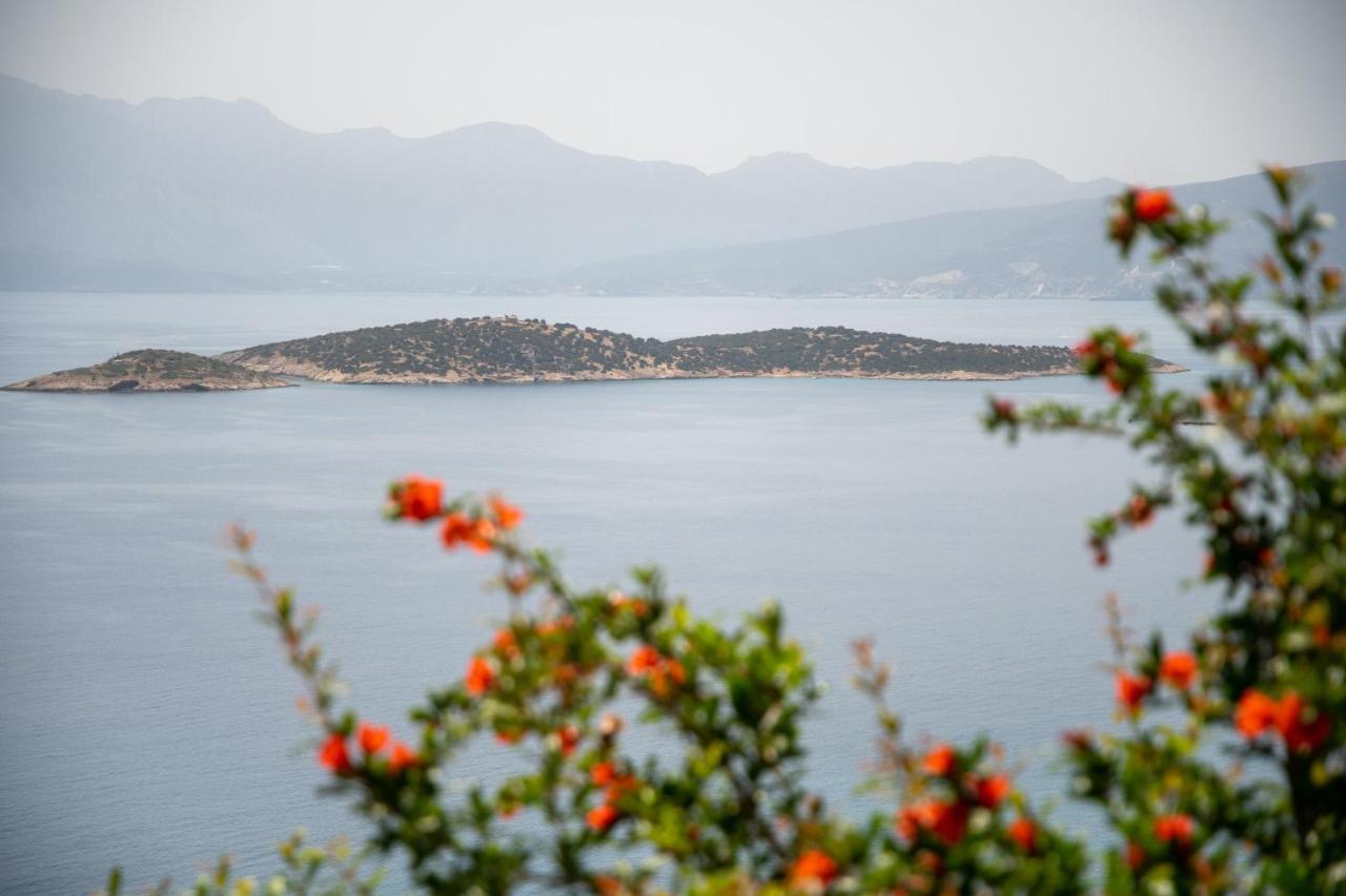 Miracle View Villas Ajos Nikolaos Zewnętrze zdjęcie