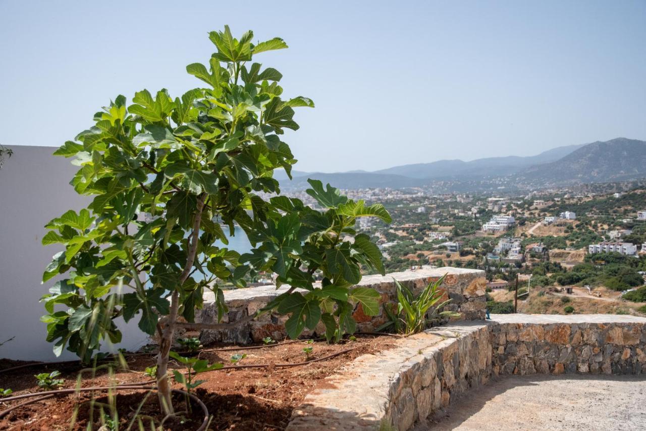 Miracle View Villas Ajos Nikolaos Zewnętrze zdjęcie